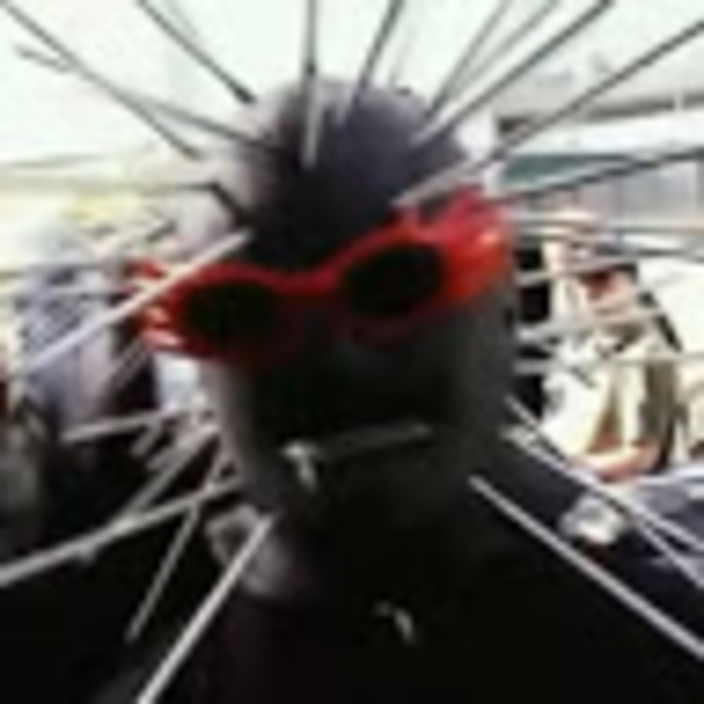 Meet your Posher, Kayden